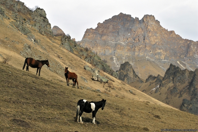 risk36__440_IMG_0597 edit Кавказ — март 2019 (Горный туризм, горы, фото, фотография, кбр)