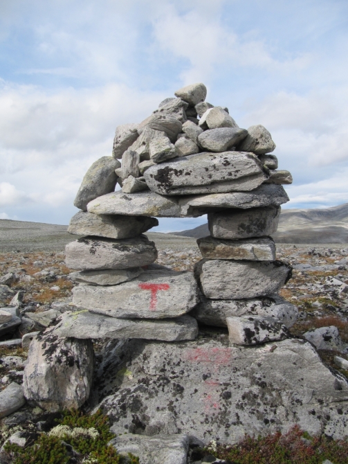 Dovrefjell: ПэВэДэшечка в краю овцебыков (Путешествия, горы Норвегии, Sn

                            </div>
                            
                            <div class=
