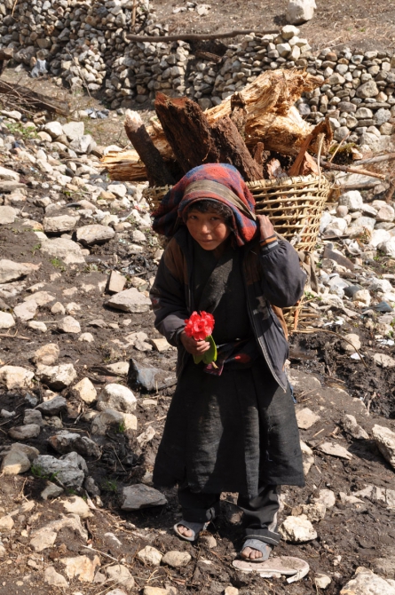 Фотоотчёт с Манаслу (Альпинизм, команда болотова, манаслу-2009, альпинизм, восхождение на восьмитысячник)