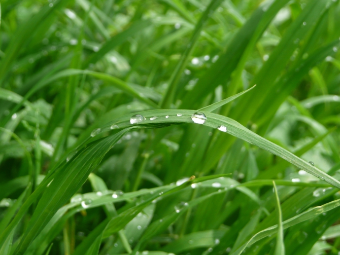 Второпроход на Фишт - на правах рекламы :, Альпинизм, лагонаки)