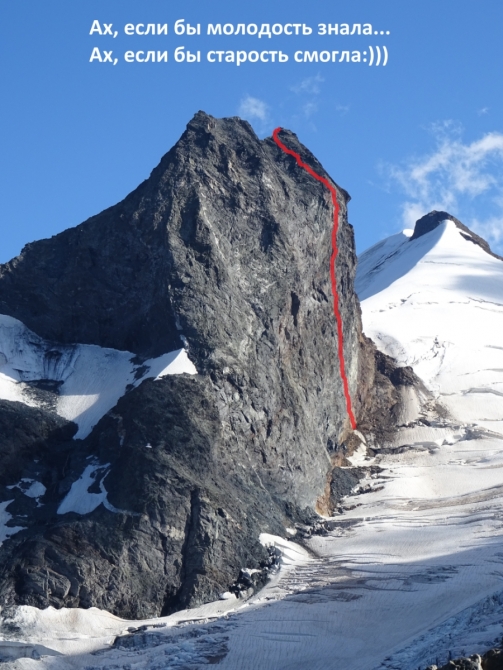       (, , ,  ,  , alpexotica, alpexotica.ru,  ,    , , )