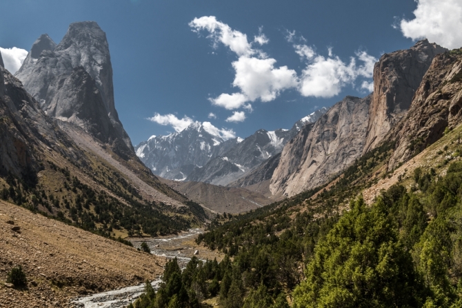     ( , -, -, ,  , -, , , )