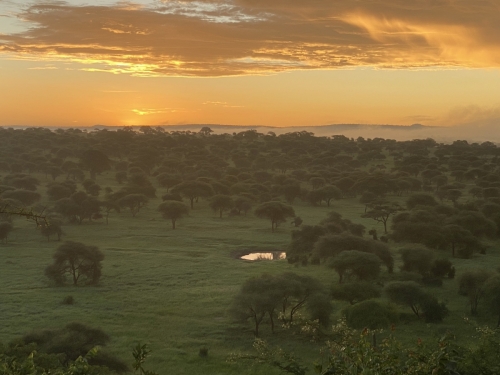Танзания, Килиманджаро (Путешествия)