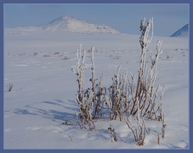 По морям и тундрам. Фотоальбом (лыжный туризм, турклуб маи, полярный урал, ямал, карское море)