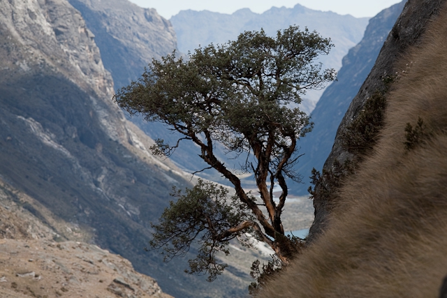 Трекинг в Кордильерах Бланка (Альпинизм, перу, южная америка, горы)