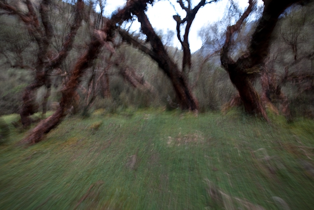 Трекинг в Кордильерах Бланка (Альпинизм, перу, южная америка, горы)