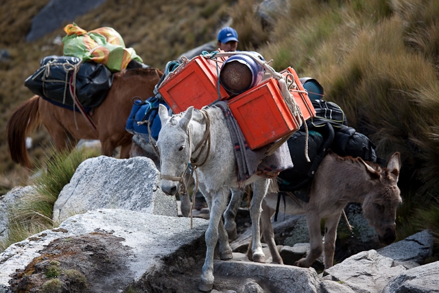 Трекинг в Кордильерах Бланка (Альпинизм, перу, южная америка, горы)