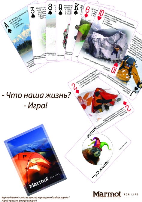 Доброе утро:, marmot, fun)