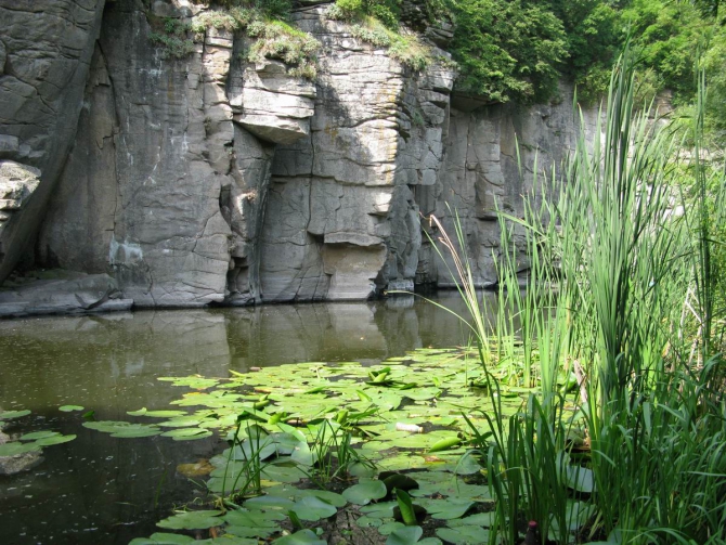 Знакомьтесь - Буки! (Скалолазание)