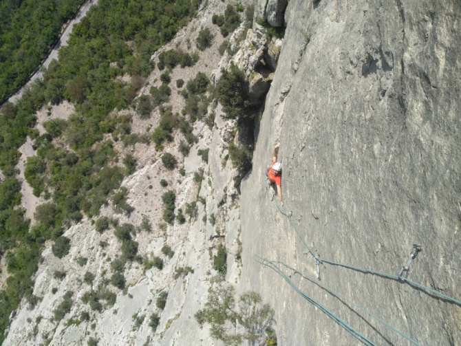    ,   ? (, CAMPCASSIN, _BASK)