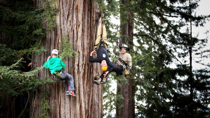 Интервью с Тимом Коваром (Tree Climbing Planet, USA, Древолазание)