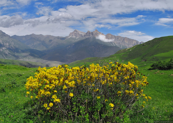 Фотографии из путешествия по горам Осетии и Балкарии (Ц.Кавказ) в июне 2020 г. (Горный туризм)