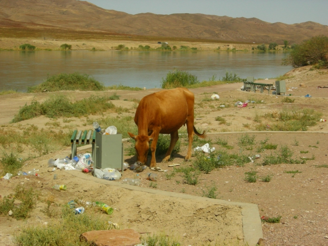На скалы Тамгалы-Тас пришла "культурка", или Будда против скалолазания. (Альпинизм, klenov, manaraga-team, almaty, rock for everybody, russia-kazakhstan, skala)
