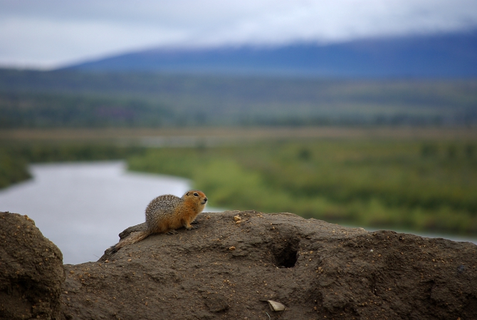 Чукотско-колымские зарисовки (Путешествия, колыма, чукотка, мерзлота)
