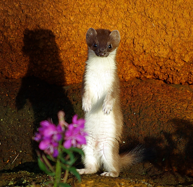 Чукотско-колымские зарисовки (Путешествия, колыма, чукотка, мерзлота)