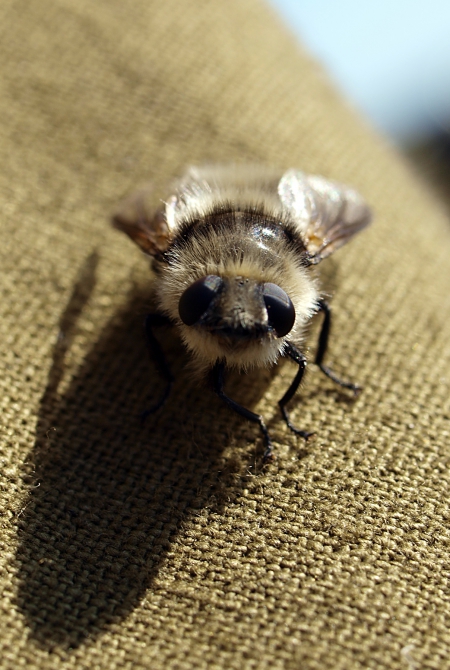 Чукотско-колымские зарисовки (Путешествия, колыма, чукотка, мерзлота)