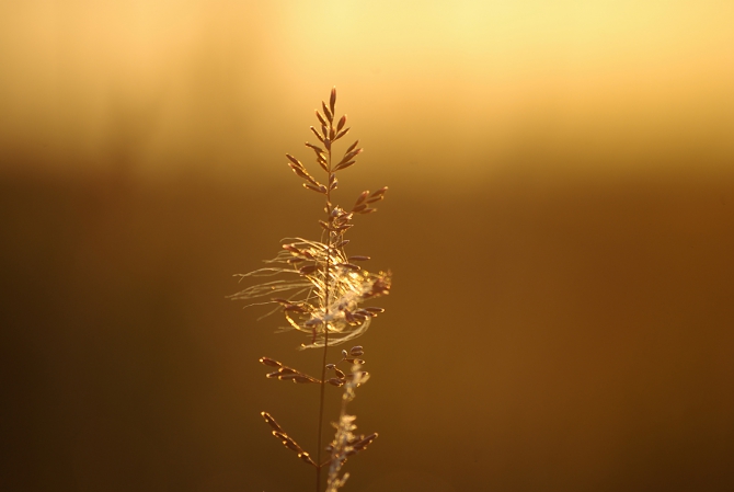 Чукотско-колымские зарисовки (Путешествия, колыма, чукотка, мерзлота)