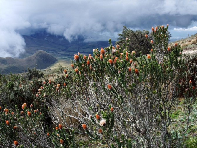Свесить ноги в разные полушария... (Альпинизм, эквадор, котопакси, иллиница норте, галапагосы)