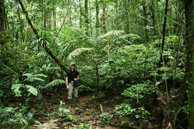 Свесить ноги в разные полушария... (Альпинизм, эквадор, котопакси, иллиница норте, галапагосы)
