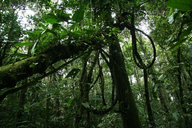 Свесить ноги в разные полушария... (Альпинизм, эквадор, котопакси, иллиница норте, галапагосы)
