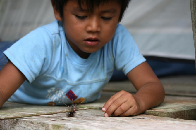 Свесить ноги в разные полушария... (Альпинизм, эквадор, котопакси, иллиница норте, галапагосы)
