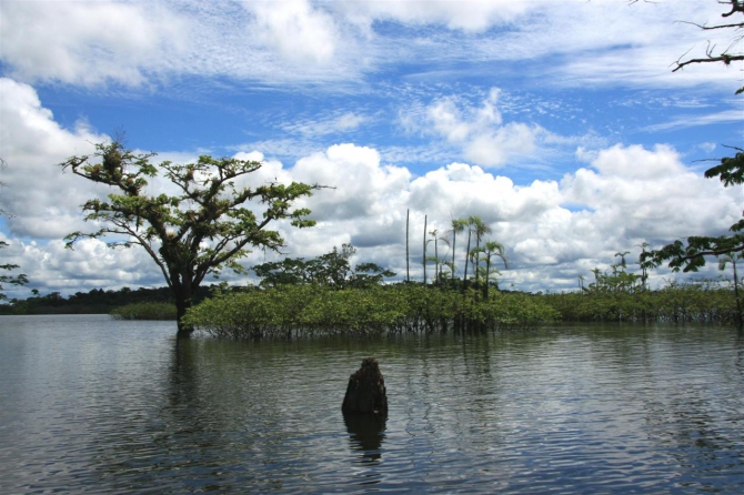Свесить ноги в разные полушария... (Альпинизм, эквадор, котопакси, иллиница норте, галапагосы)