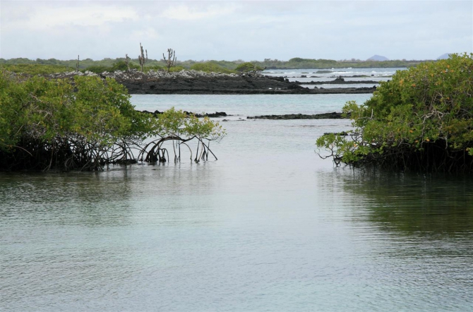 Свесить ноги в разные полушария... (Альпинизм, эквадор, котопакси, иллиница норте, галапагосы)