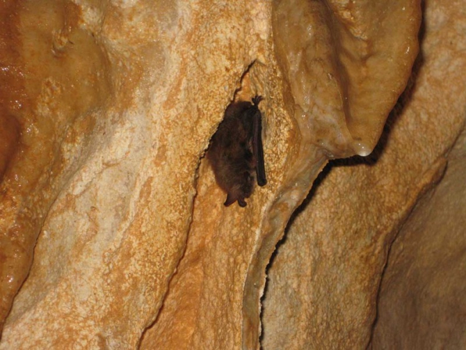 Баварское подземелье... (мюнхен, dav club russland, пещера)