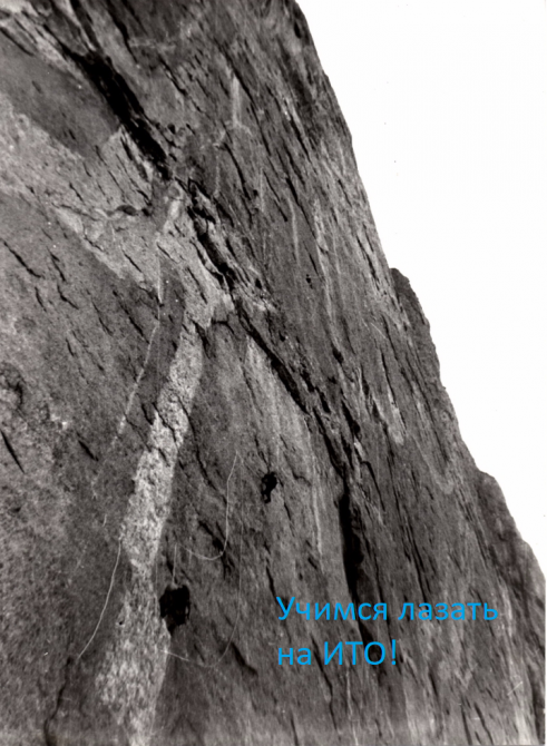   19.02-27.02.  26.02- 05.03.2022  ()