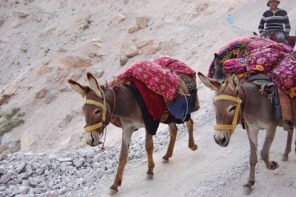 Исповедь молодого руководителя (Альпинизм, фаны, памиро-алай, киносура, фанские горы)