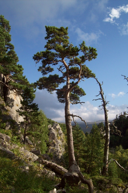 Фестиваль скалолазания Лаго-Наки 2009 все-таки состоялся!!! (Скалолазание, gekko, 7c+ project)