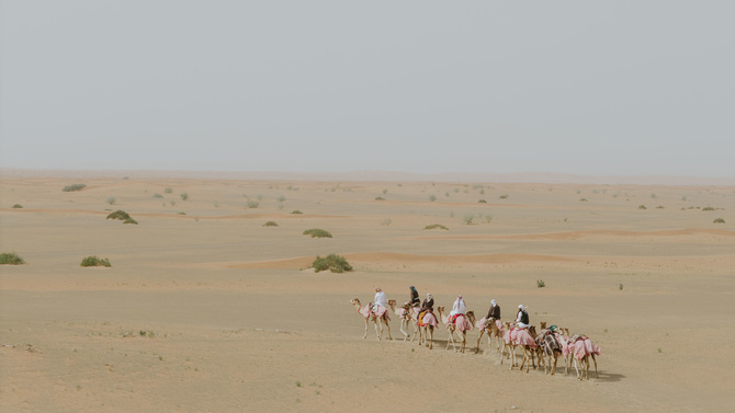 DJI_20240205134756_0043_D В Объединенных Арабских Эмиратах завершилась первая в истории российско-арабская экспедиция на верблюдах (Путешествия)
