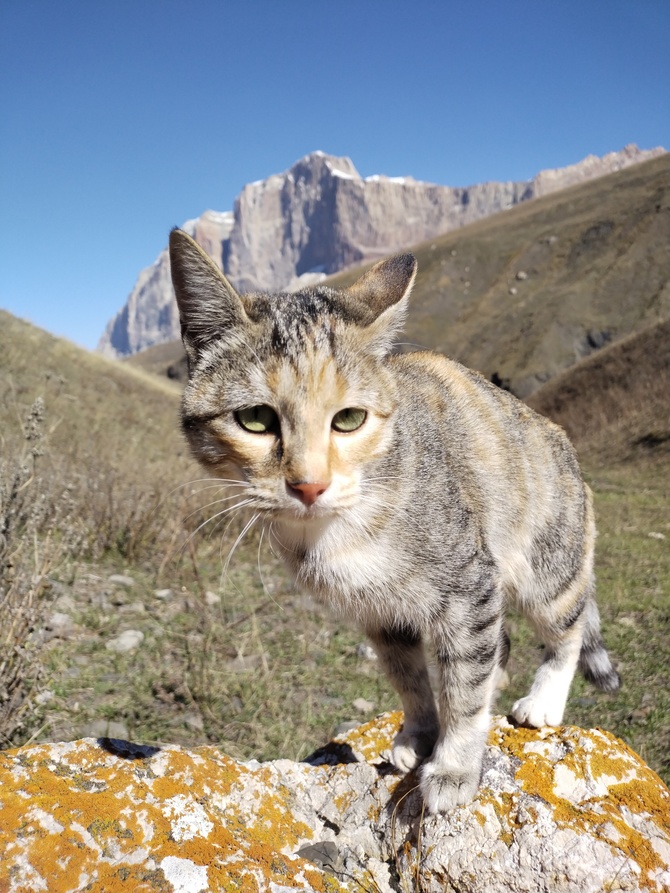 IMG_20251003_131705 Новый год в Ерыдаге (Альпинизм)