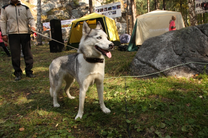 Фотки с Осенней магнитки 2009. (Скалолазание, осенняя магнитка)