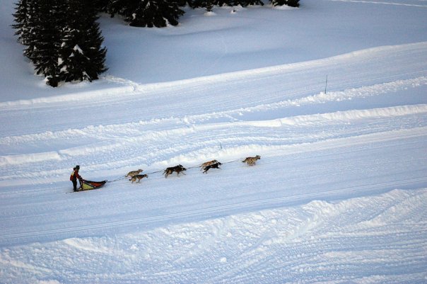 Самая большая тусовка во Франции (Бэккантри/Фрирайд, авориаз, avosnowfest, фестиваль, франция, горные лыжи, сноуборд)