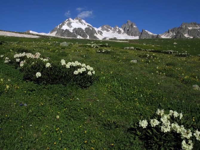 Кавказ - лето 2009. Фотоальбом (Горный туризм, горы, безенги, приэльбрусье, альпинизм, туризм, балкария, осетия)