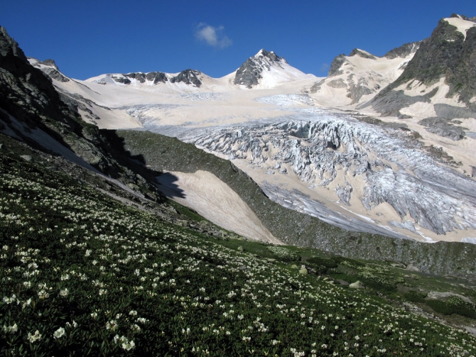 Кавказ - лето 2009. Фотоальбом (Горный туризм, горы, безенги, приэльбрусье, альпинизм, туризм, балкария, осетия)
