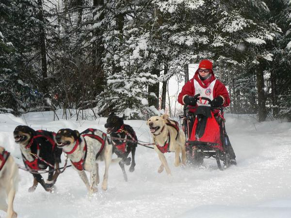 Грант Red Fox Challenge 2010 вступает в действие! (проект)