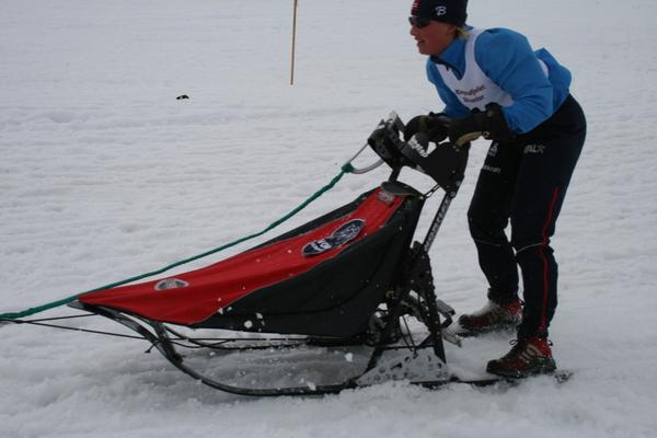 Грант Red Fox Challenge 2010 вступает в действие! (проект)