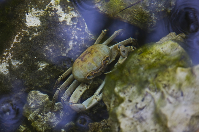 Кубинский ECOтуризм - для тех, кто давно мечтал посетить Остров Свободы, но не знал как. Часть 1 (Путешествия, куба, фотография)