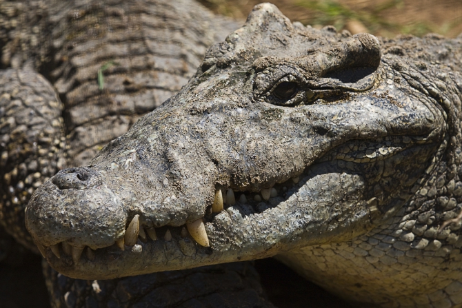 Кубинский ECOтуризм - для тех, кто давно мечтал посетить Остров Свободы, но не знал как. Часть 1 (Путешествия, куба, фотография)