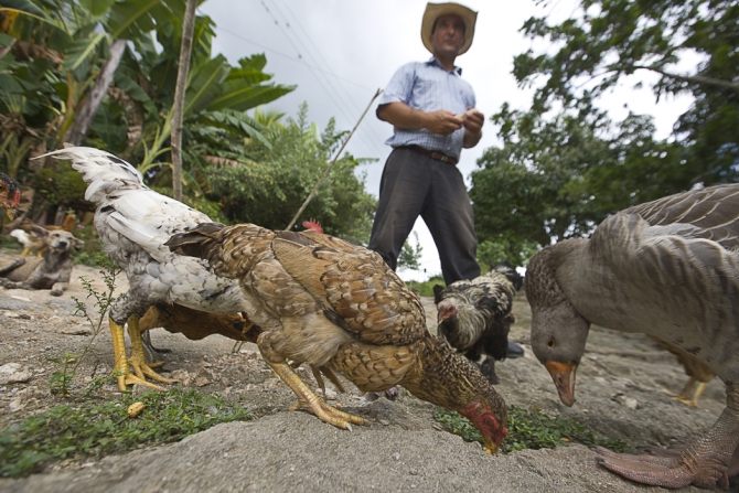 Кубинский ECOтуризм - для тех, кто давно мечтал посетить Остров Свободы, но не знал как. Часть 1 (Путешествия, куба, фотография)