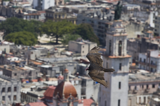 Кубинский ECOтуризм - для тех, кто давно мечтал посетить Остров Свободы, но не знал как. Часть 1 (Путешествия, куба, фотография)