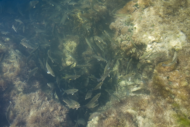 Кубинский ECOтуризм - для тех, кто давно мечтал посетить Остров Свободы, но не знал как. Часть 1 (Путешествия, куба, фотография)