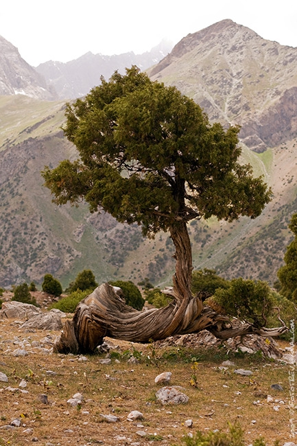 фотографии с Фанских гор (Альпинизм, фанские горы)