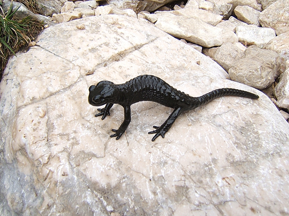 Соло на Триглав (Словения). (Альпинизм, словения. триглав.)