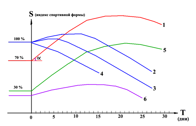 Организация эффективной и безопасной акклиматизации. (Альпинизм, высотная адаптация, горная болезнь, горная школа, акклиматизация)