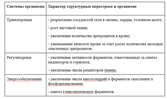 Организация эффективной и безопасной акклиматизации. (Альпинизм, высотная адаптация, горная болезнь, горная школа, акклиматизация)