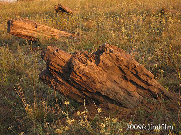 Мир до того, как разошлись континенты. Уникальные места Планеты (Путешествия, украина)