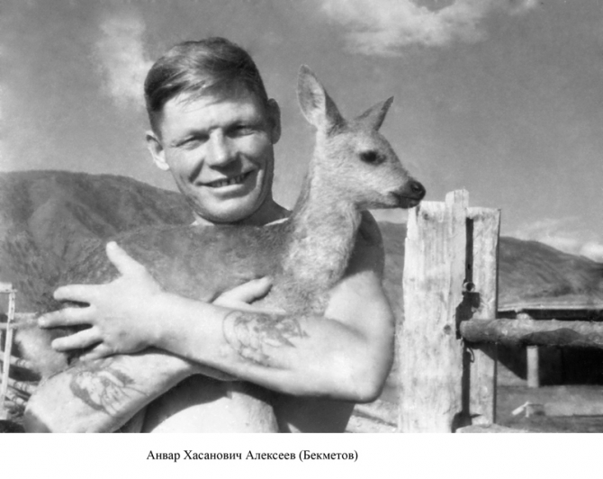 Пик Победа, 1949 (Альпинизм, инылчек, звездочка, колокольников)